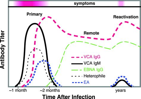 Anticorpi heterofili anti virus Epstein Barr IgM